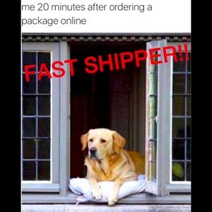 ⚡️I Ship Fast 📦💨💨!